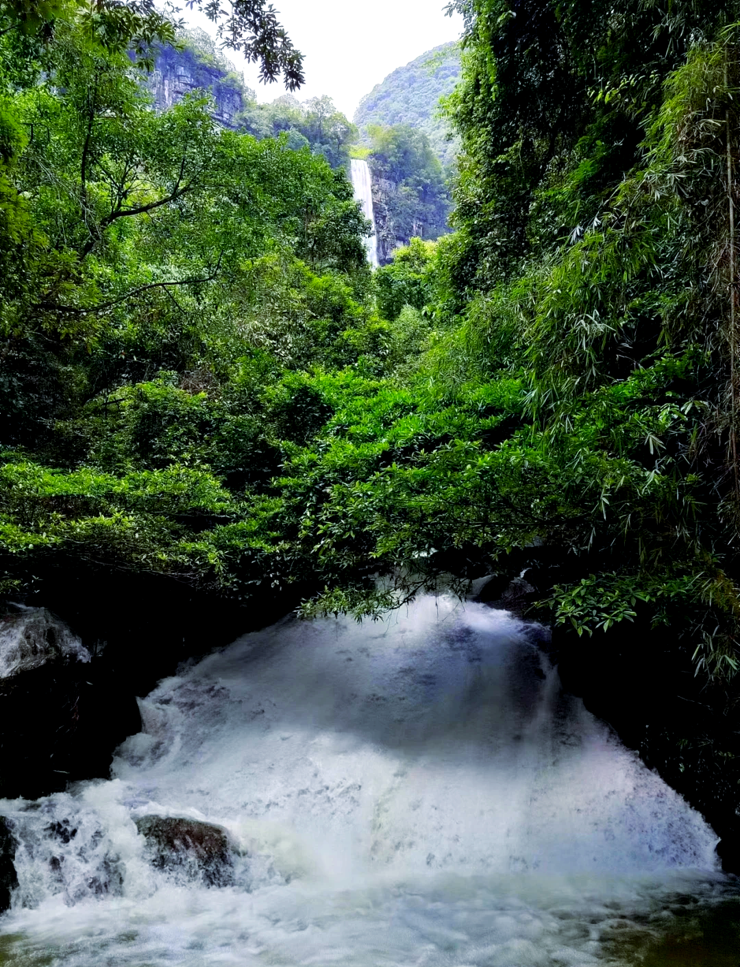 河池旅游_河池旅游地图