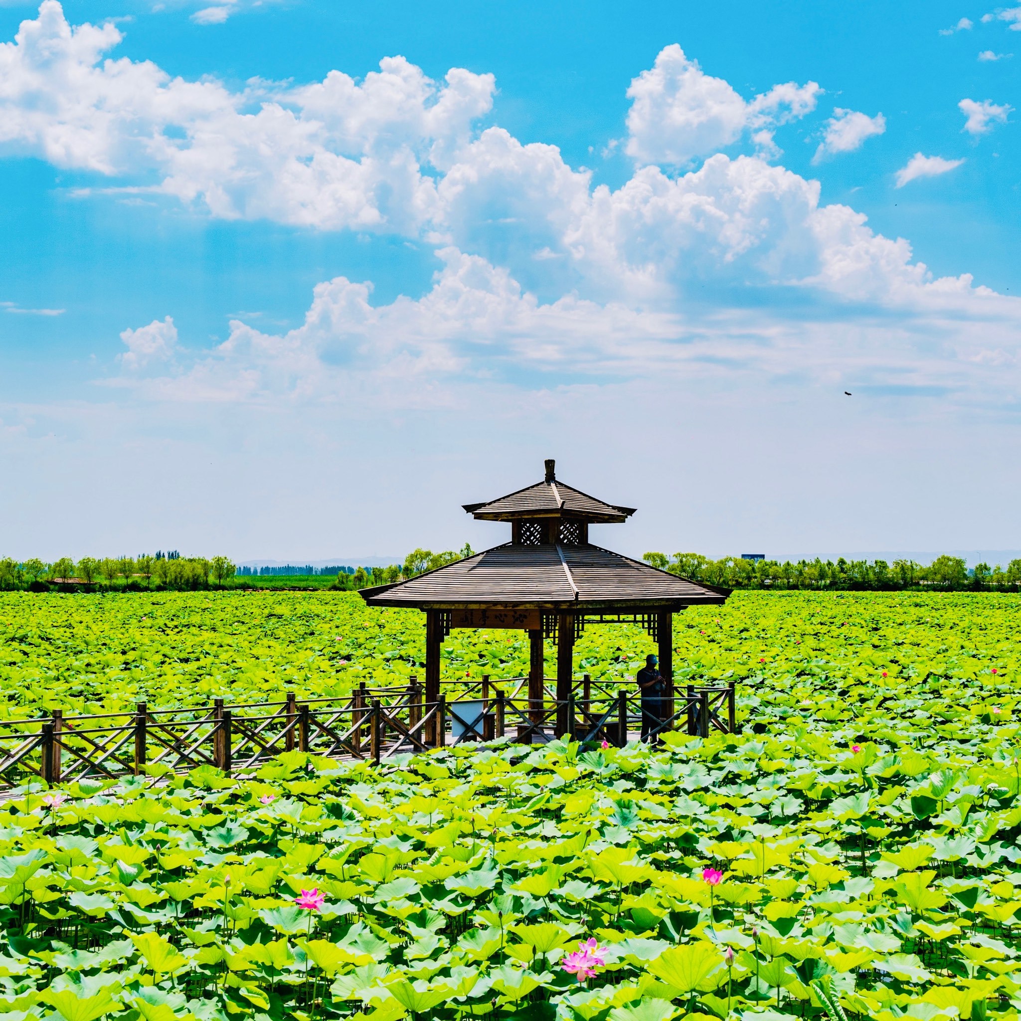 宁夏旅游景点_宁夏旅游景点地图全图
