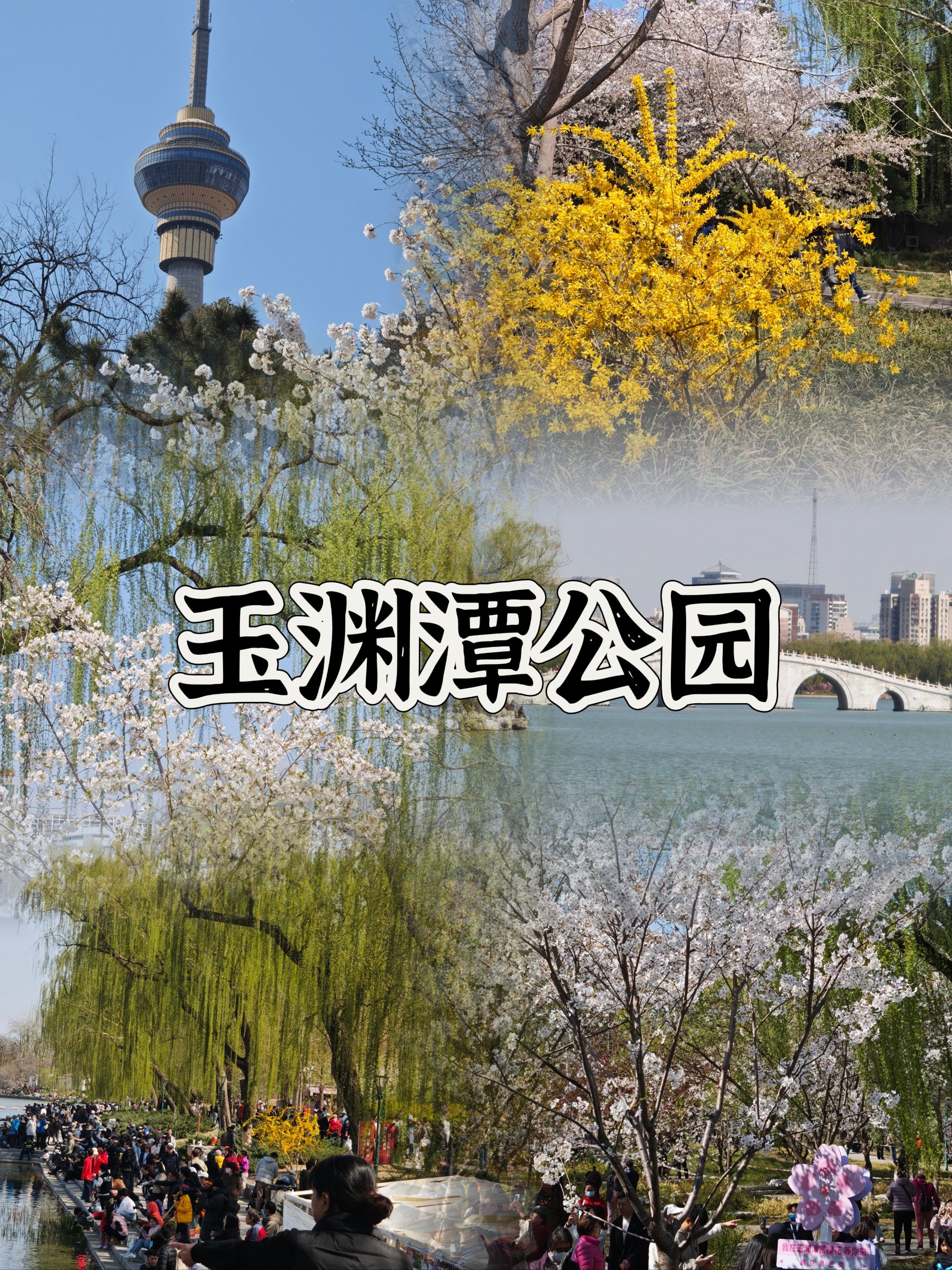 北京清明节旅游_北京清明节旅游攻略必去景点