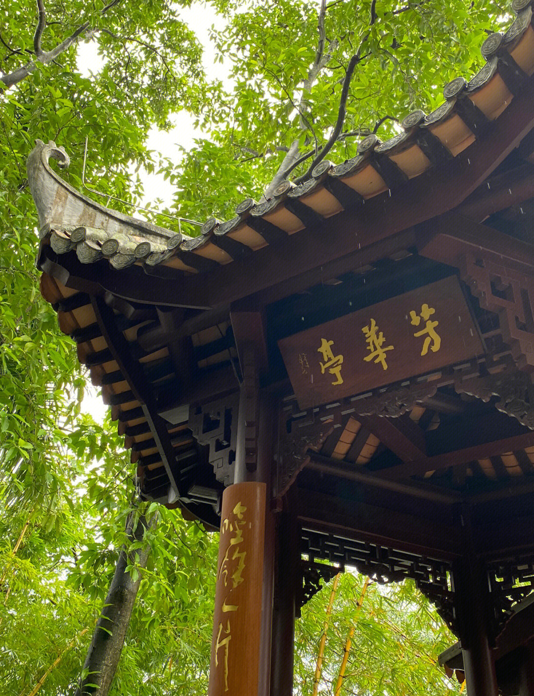 惠州旅游景点_广东惠州旅游景点