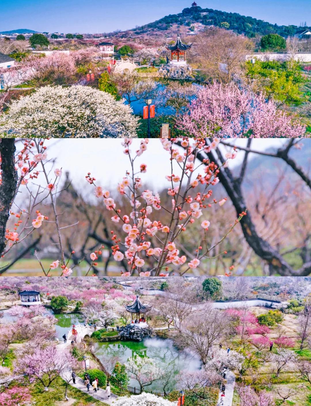 苏州西山旅游攻略_苏州西山风景区游玩攻略