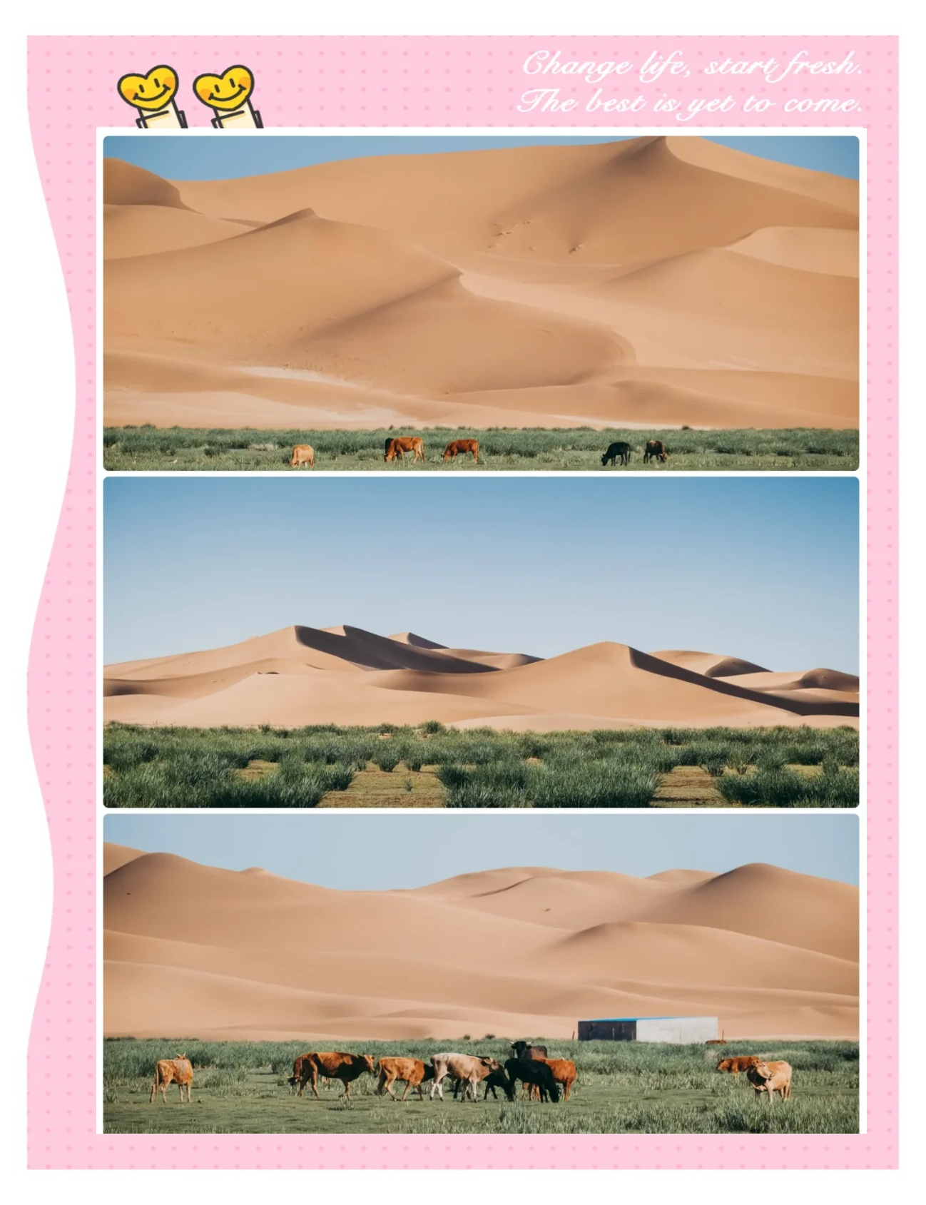 阿拉善旅游_阿拉善旅游景点