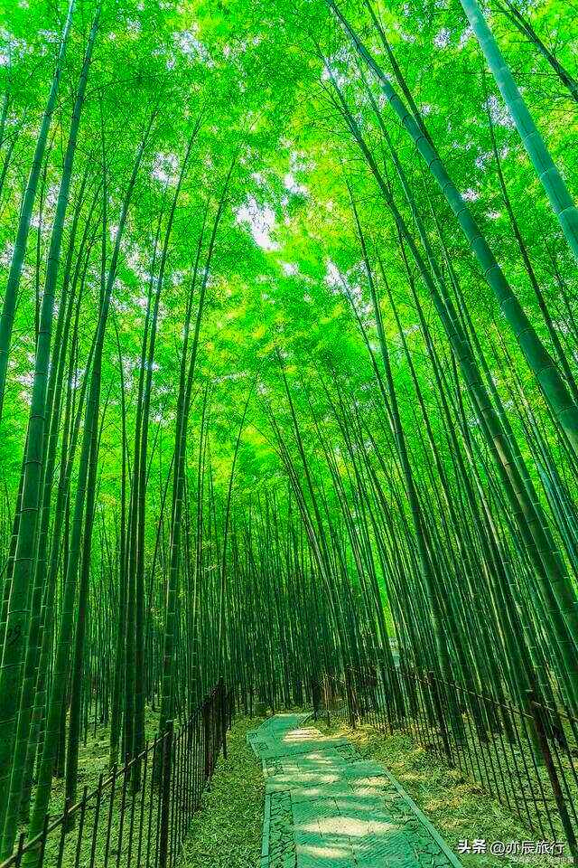 夏天最好的旅游地方_夏天最好的旅游地方排名