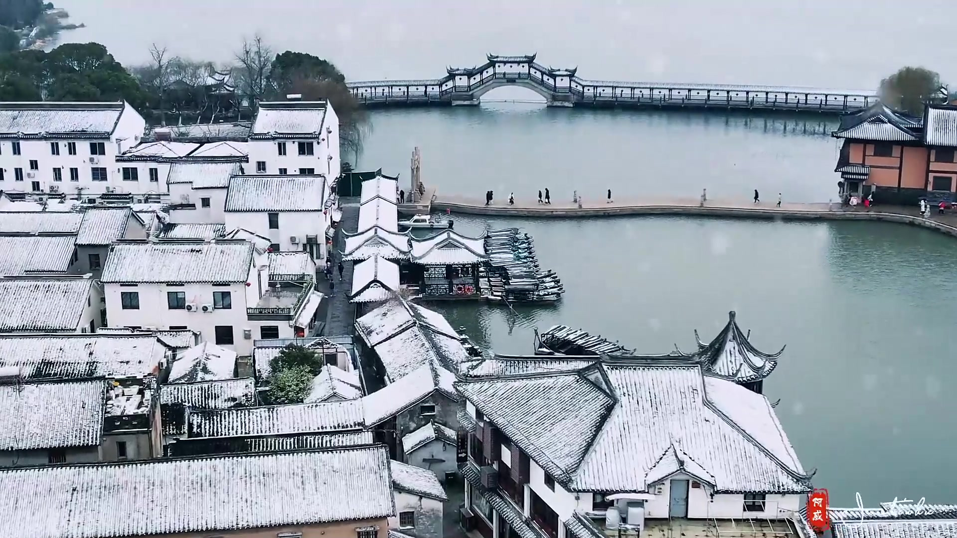 锦溪旅游_锦溪旅游公司董事长