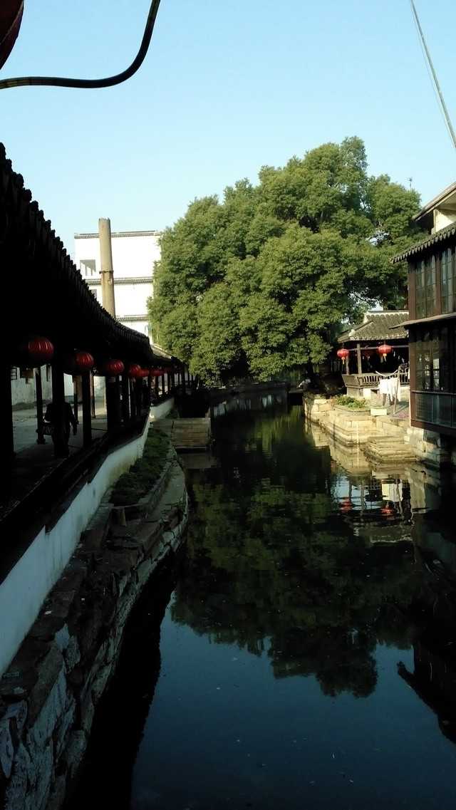 锦溪旅游_锦溪旅游公司董事长
