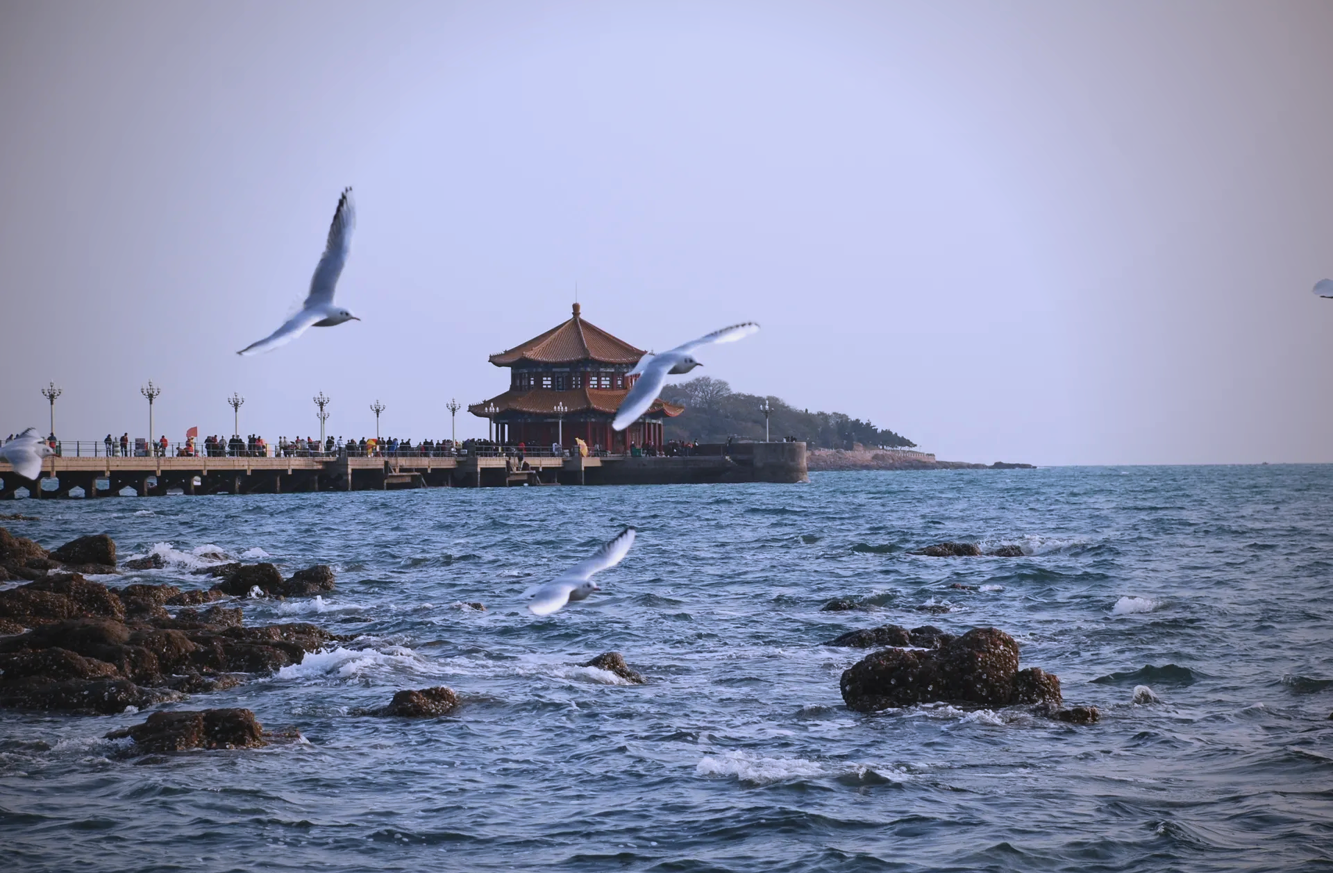 青岛旅游景点图片_青岛旅游景点图片高清