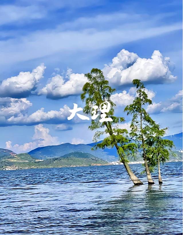 云南旅游天气_云南旅游天气预报一周