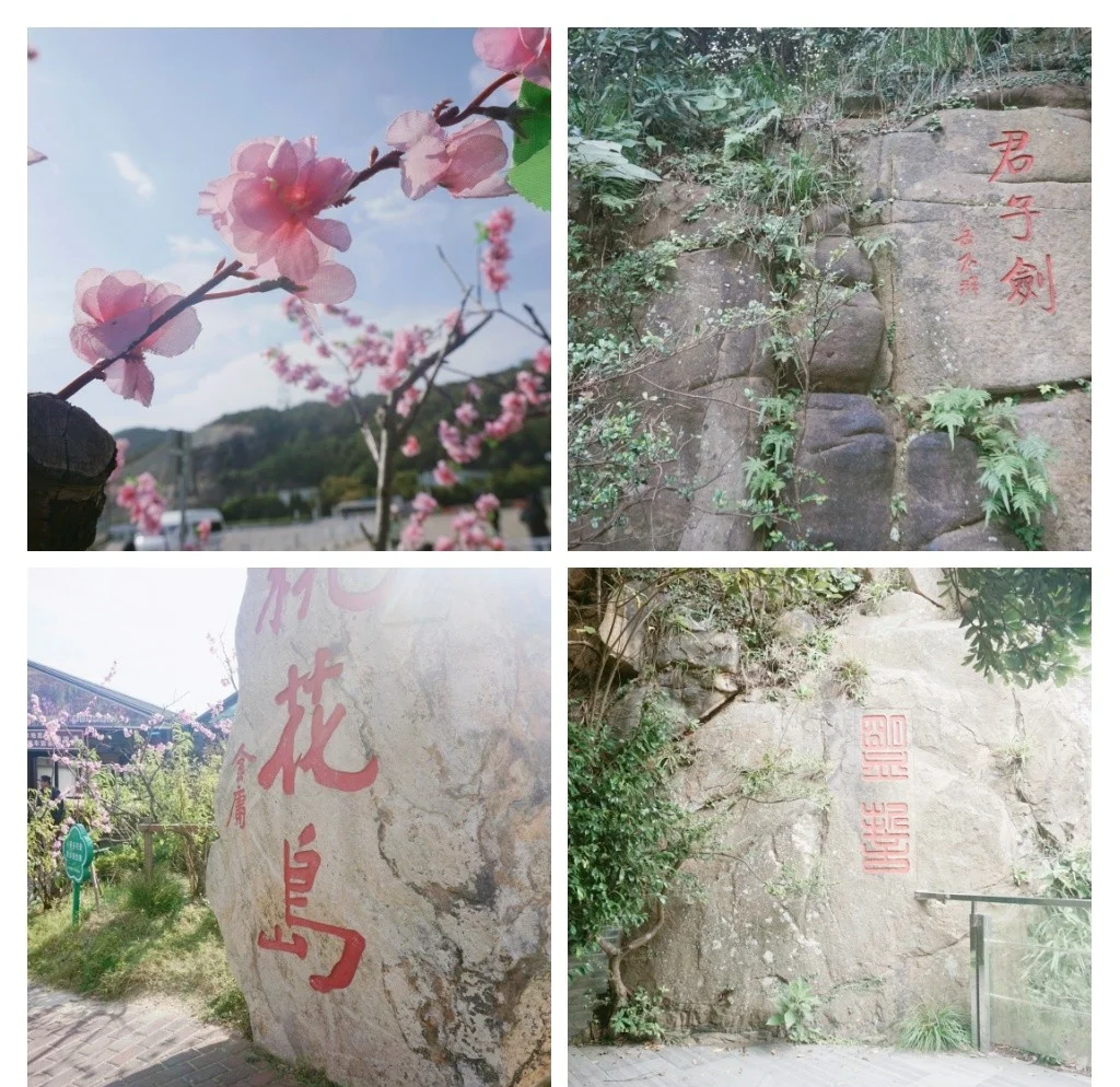 桃花岛旅游_桃花岛旅游攻略三天