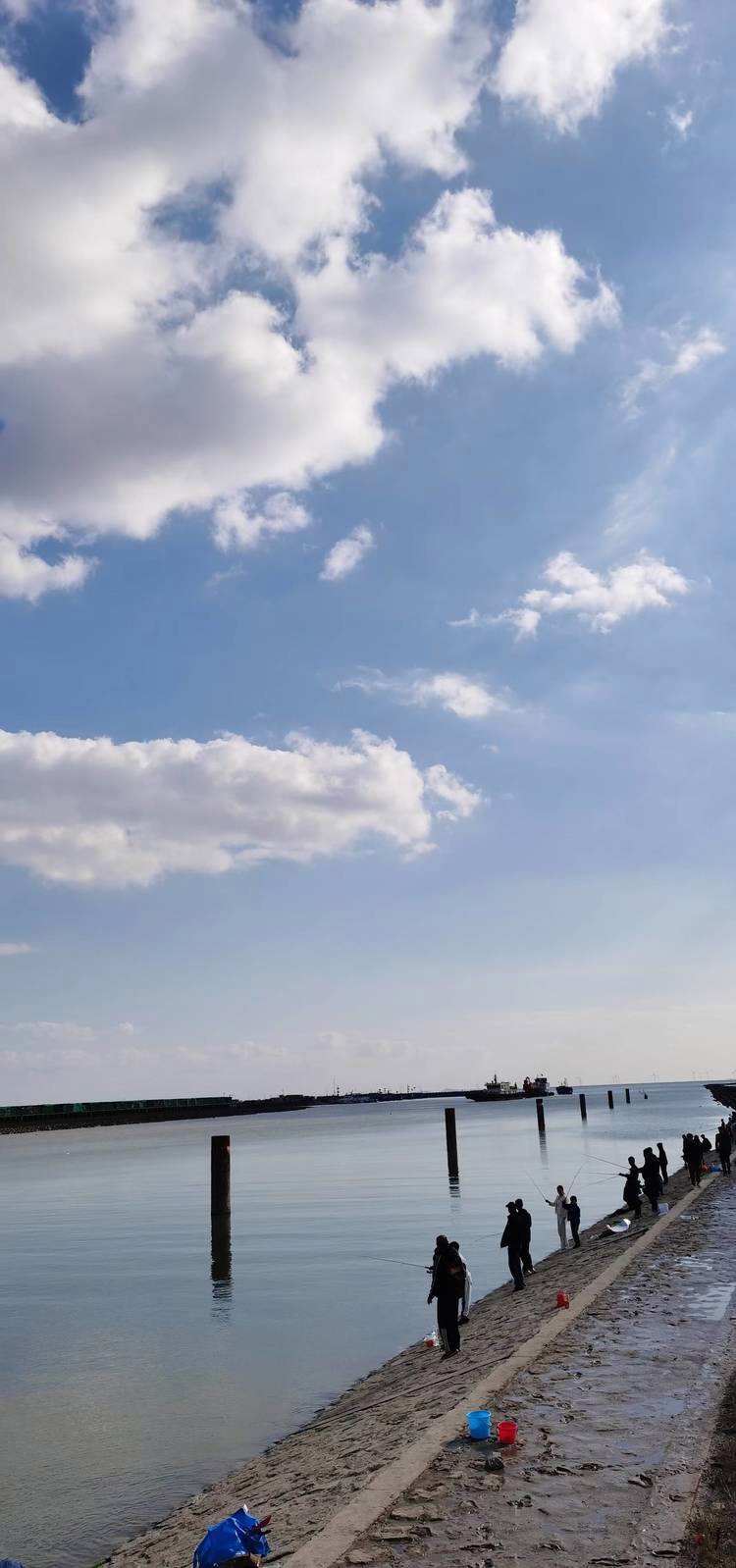 上海奉贤海湾旅游区_上海奉贤海湾旅游区景点