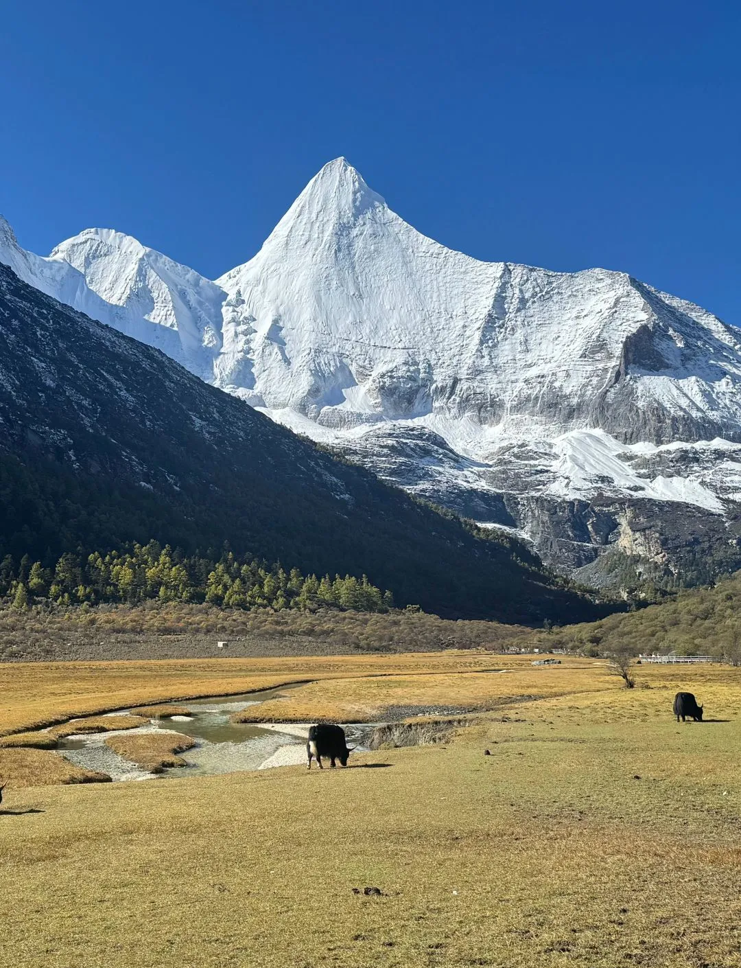 稻城亚丁旅游_稻城亚丁旅游线路图