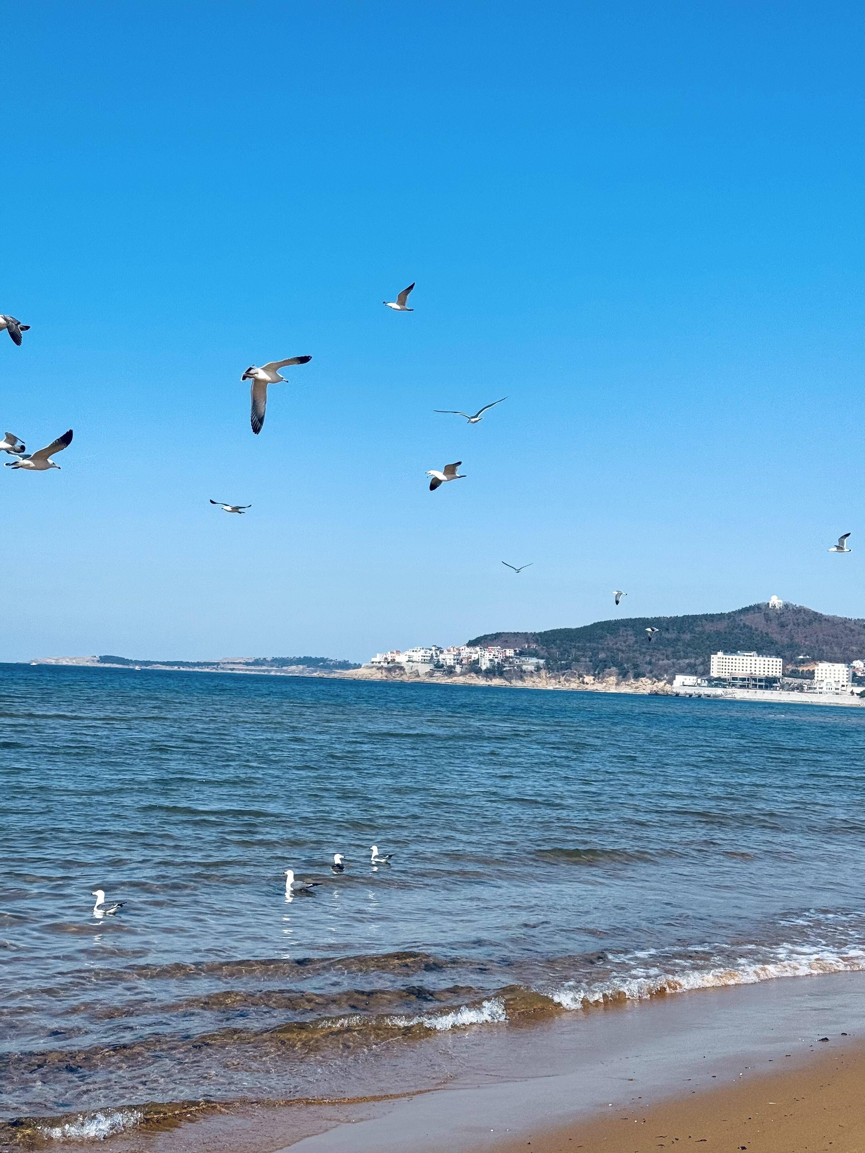 山东威海旅游_山东威海旅游攻略三日游多少钱