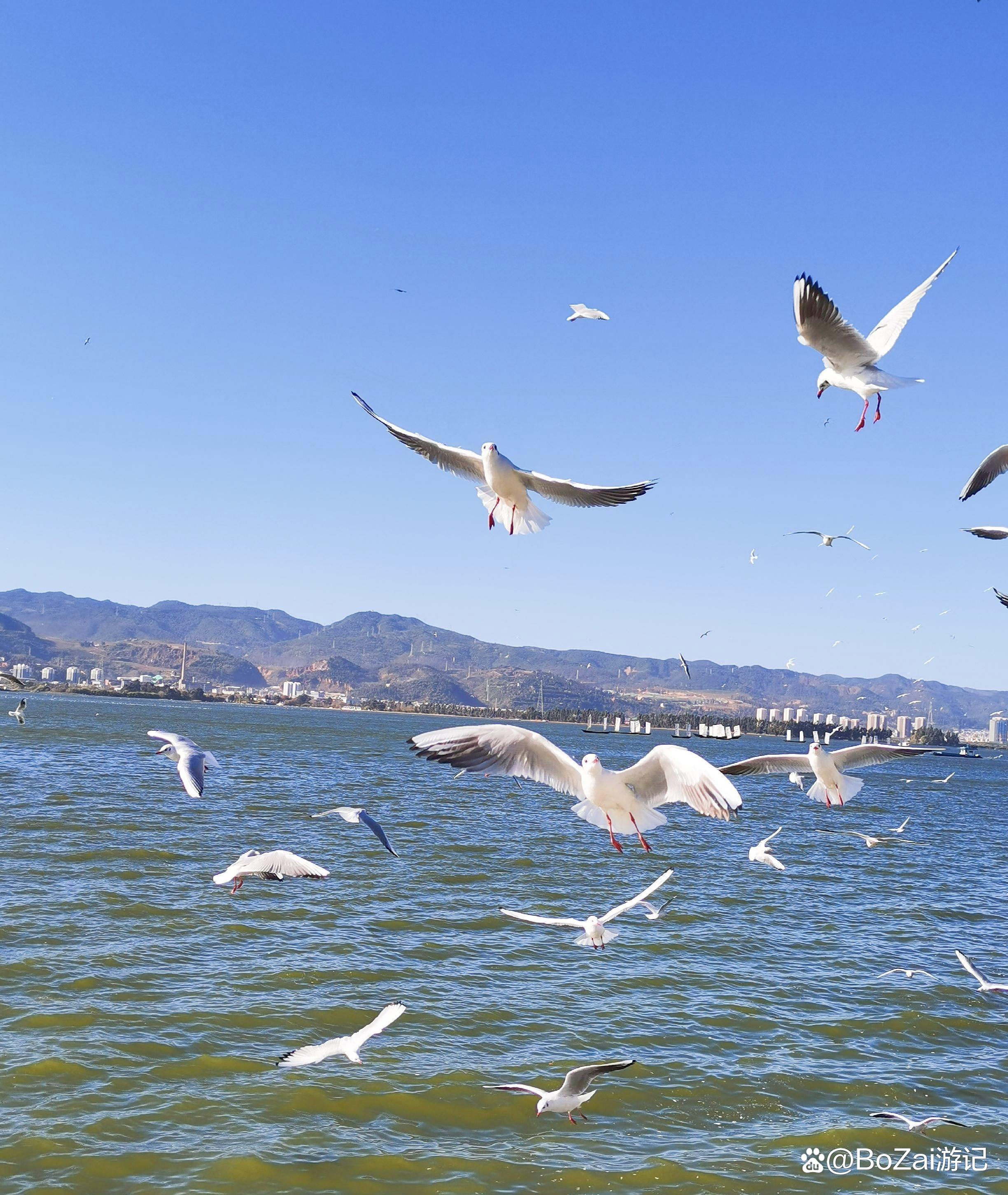 云南昆明旅游景点_云南昆明旅游景点攻略