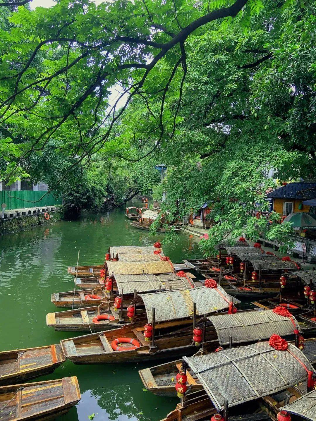 顺德旅游景点大全_顺德旅游景点大全一日游