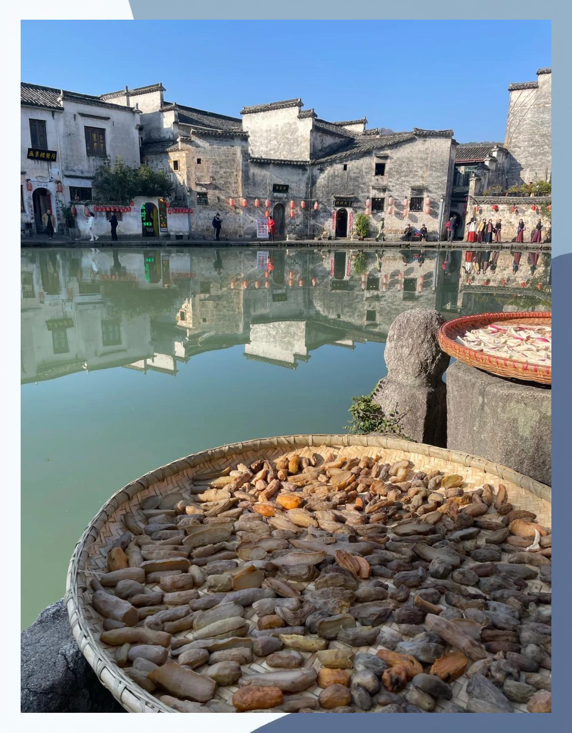 宏村旅游攻略_徽州宏村旅游攻略