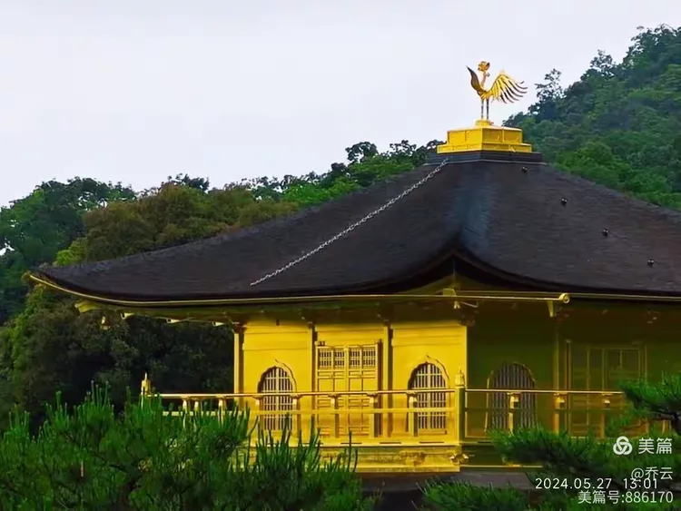 上海去日本旅游_上海去日本旅游签证需要什么条件