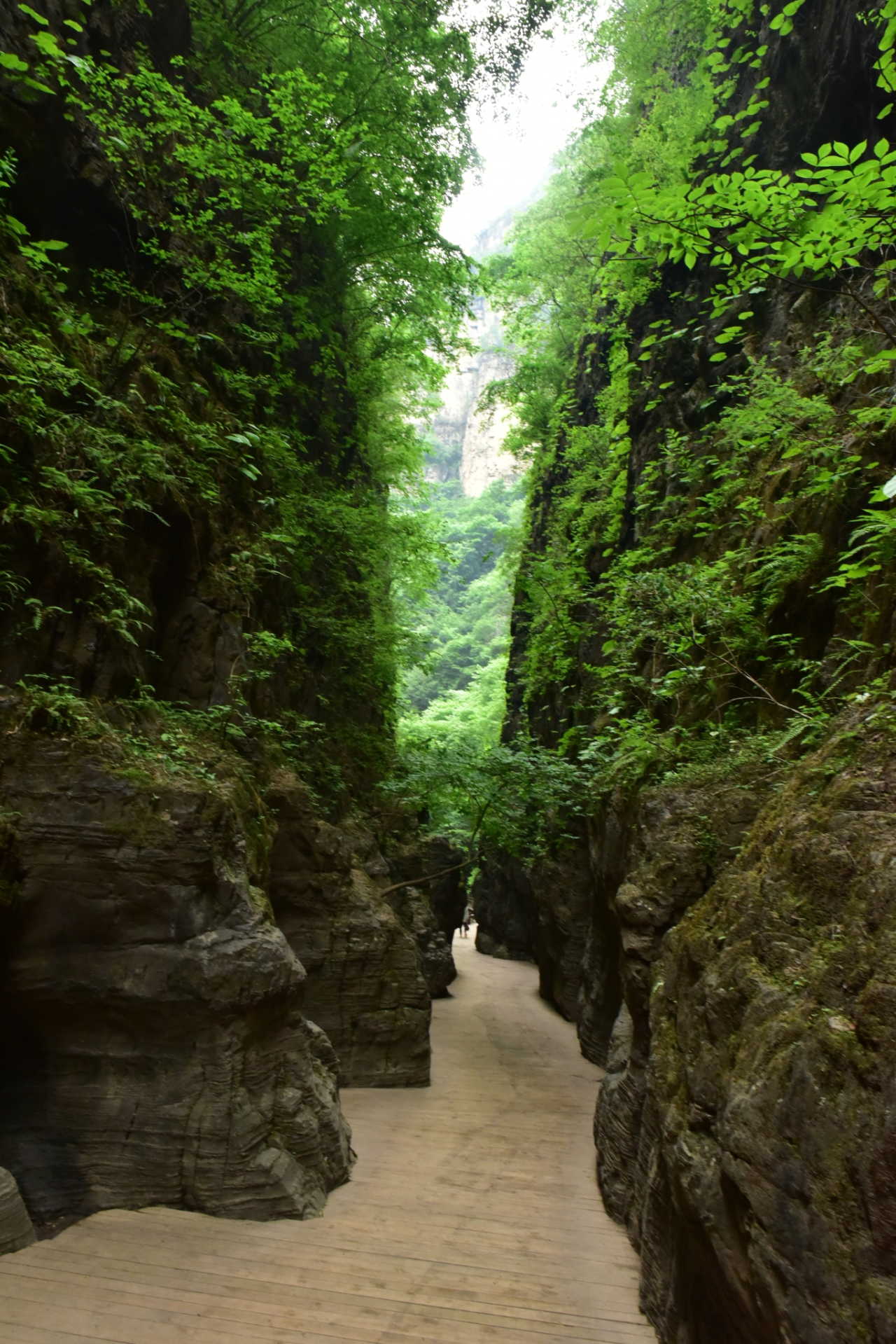 野山坡旅游_野山坡旅游攻略