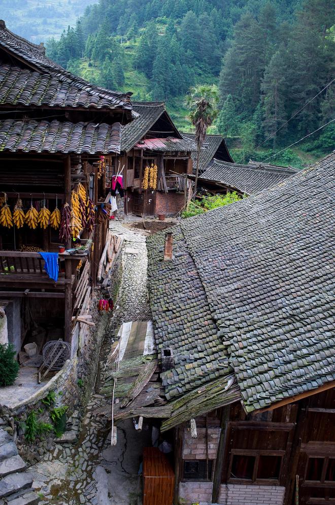 贵州荔波旅游_贵州荔波旅游攻略自由行