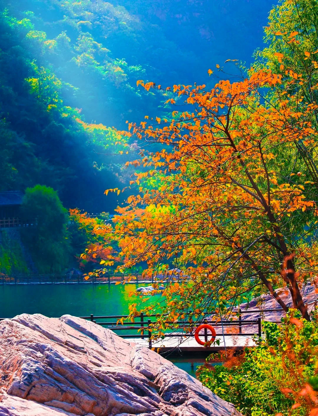 新乡旅游_新乡旅游地图