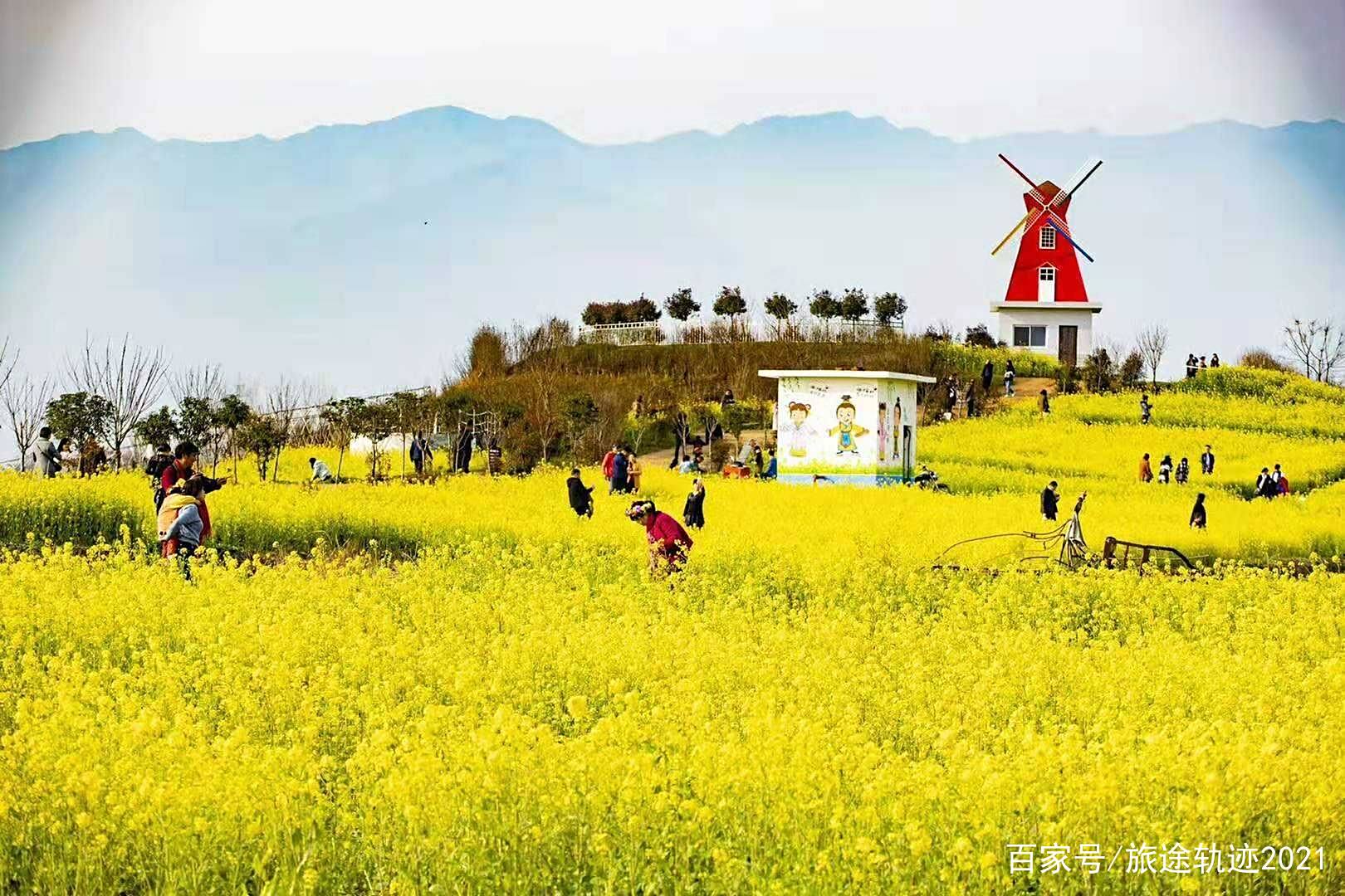 3月份适合去哪里旅游_3月份适合去哪里旅游比较好