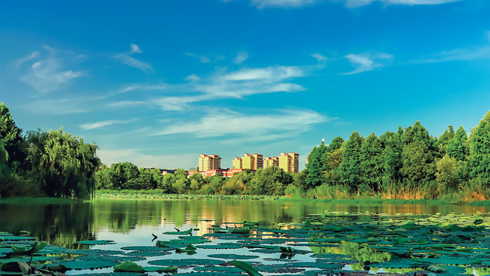 芜湖旅游景点大全_芜湖旅游 景点