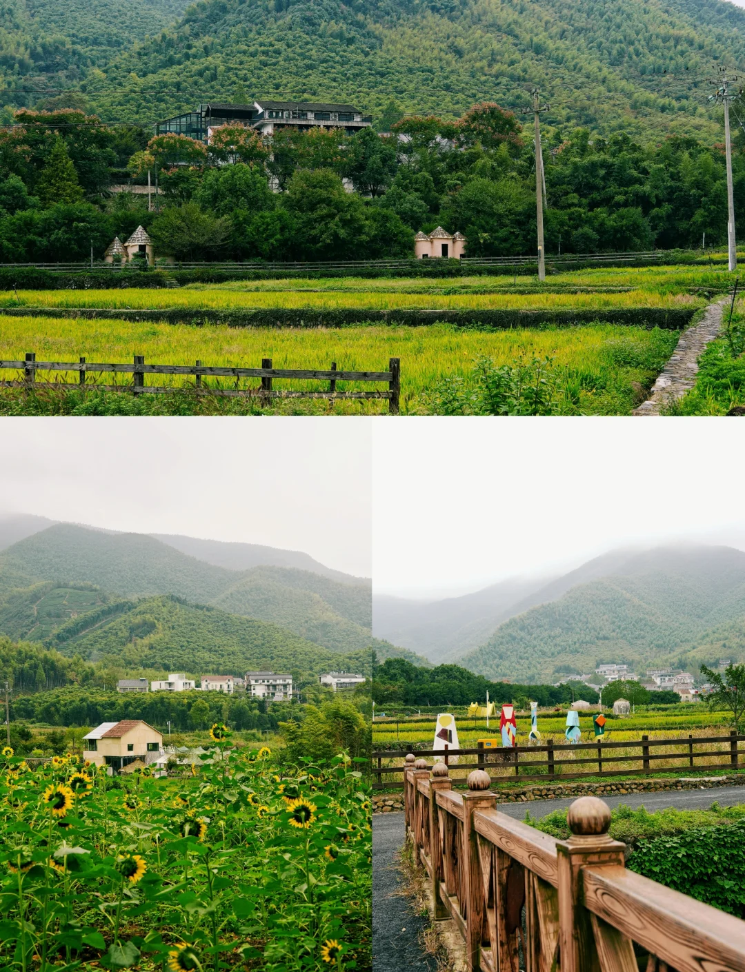 莫干山旅游_莫干山旅游住宿哪里好
