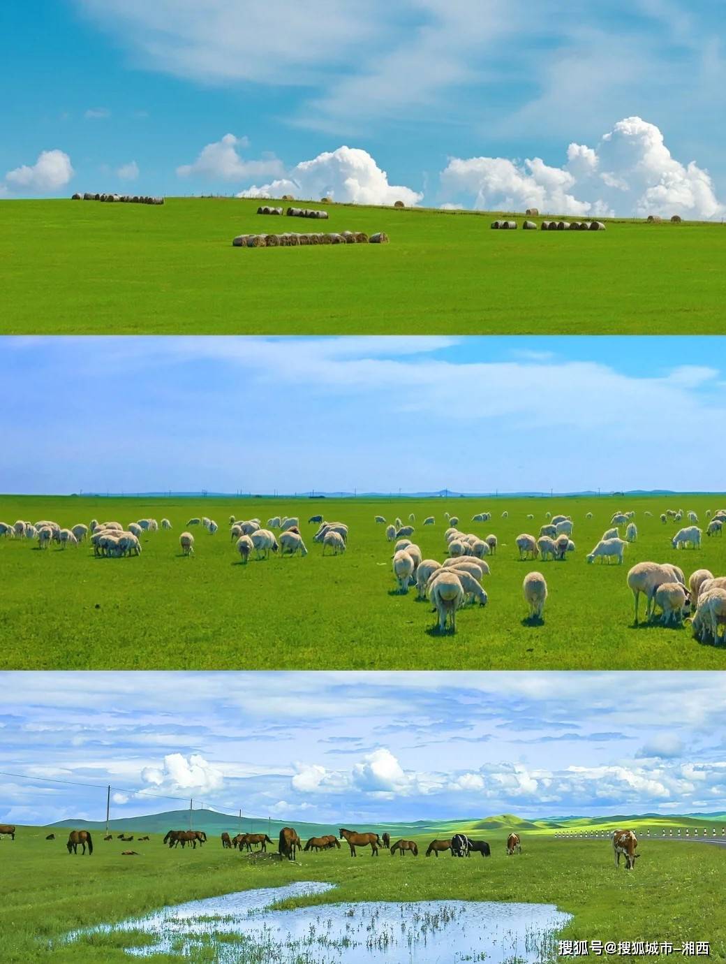 草原旅游景点_离北京最近的草原旅游景点