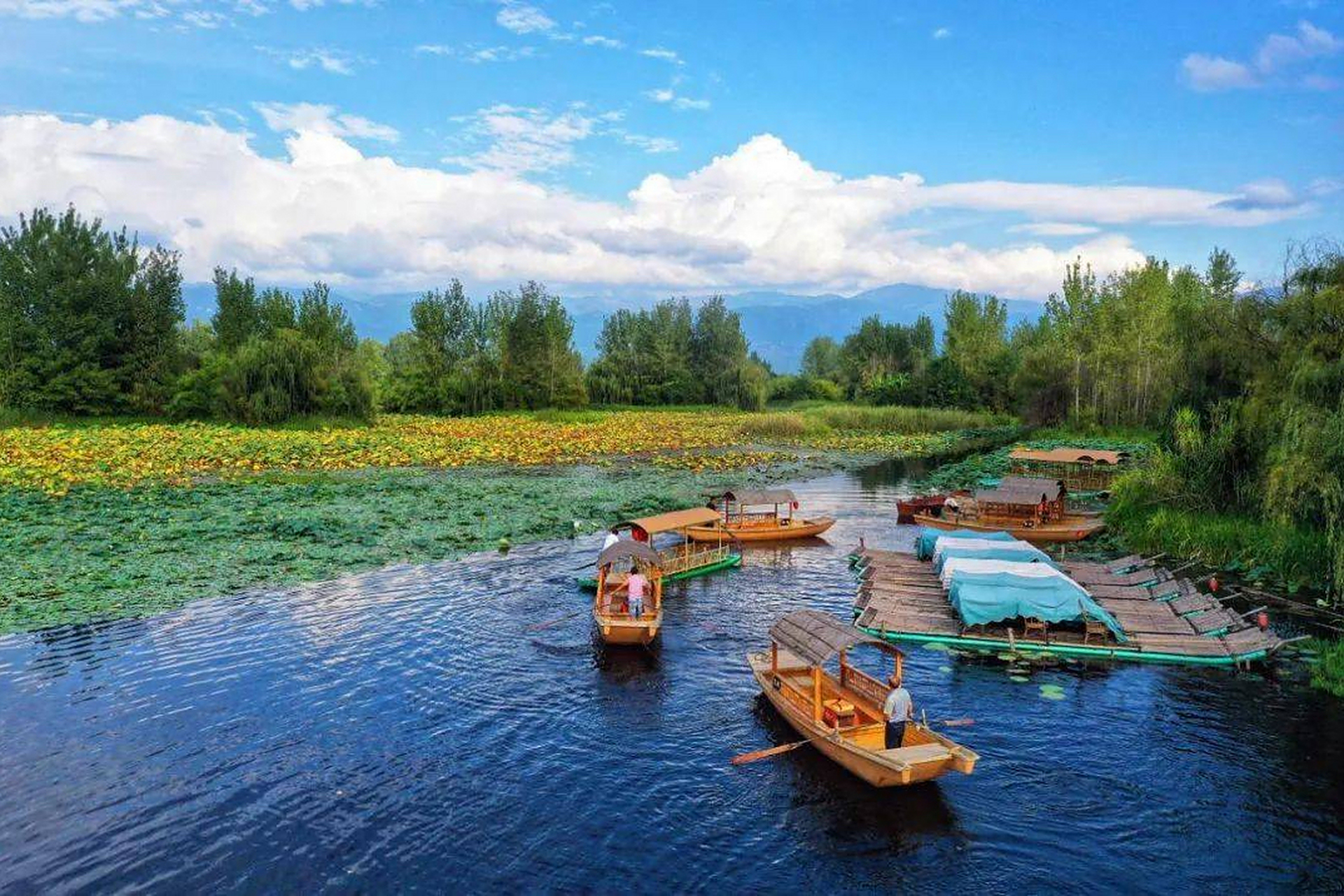 湿地旅游_湿地旅游新闻
