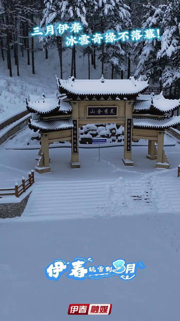 伊春旅游_伊春旅游住宿哪里方便又实惠