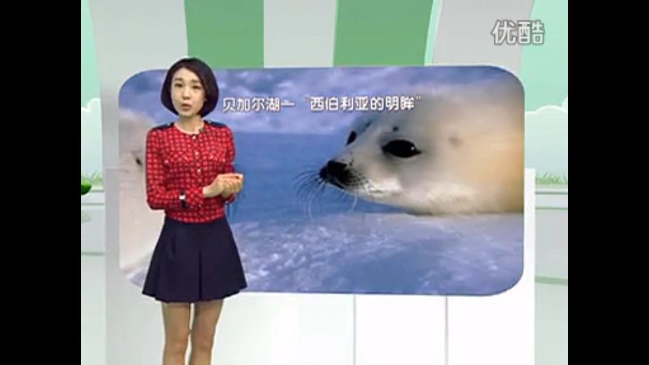 旅游卫视行者_旅游卫视行者全集印度