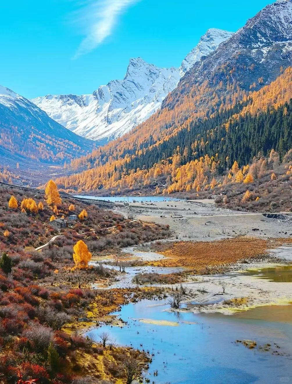 周边旅游_周边旅游团