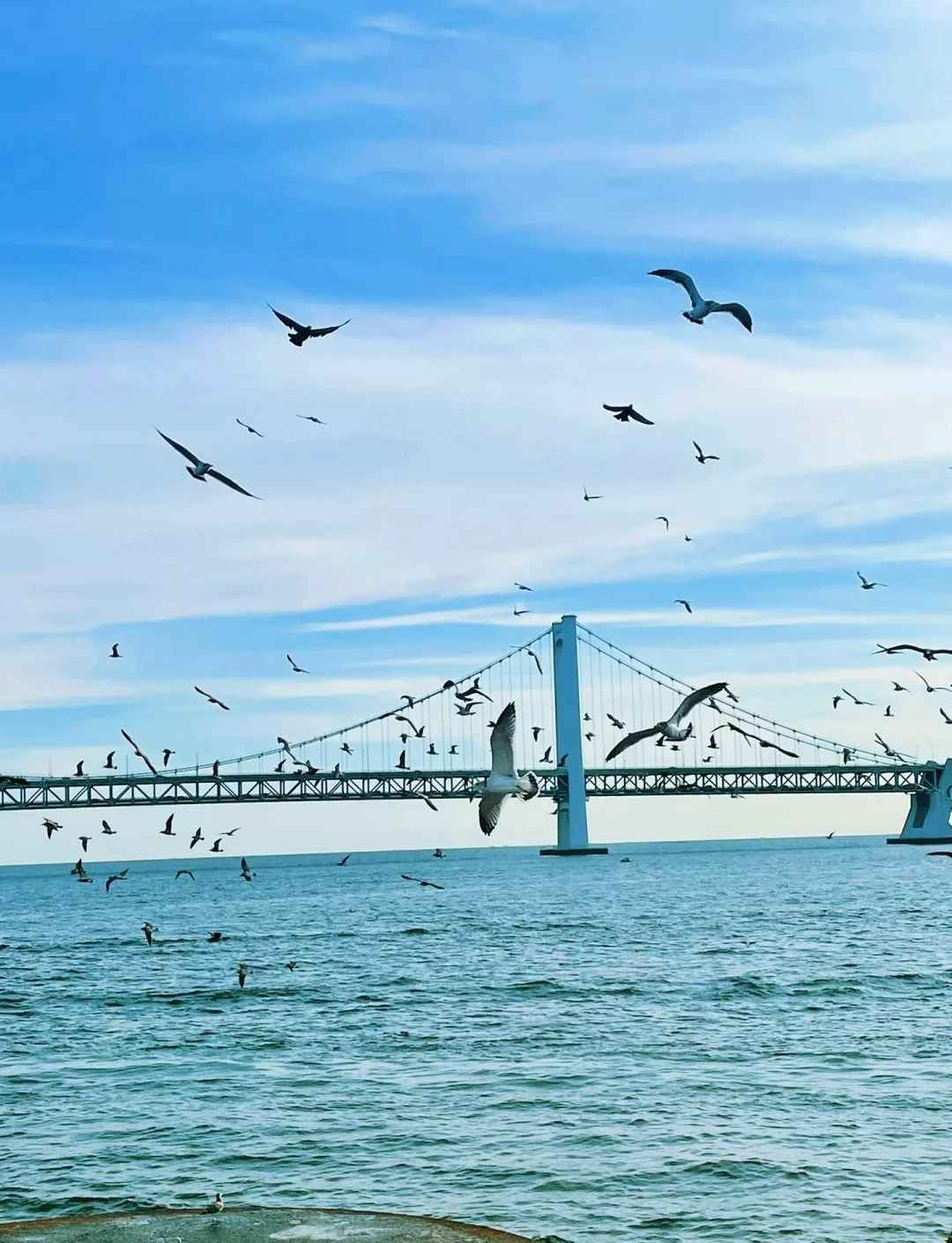 大连市旅游景点_大连市旅游景点排名