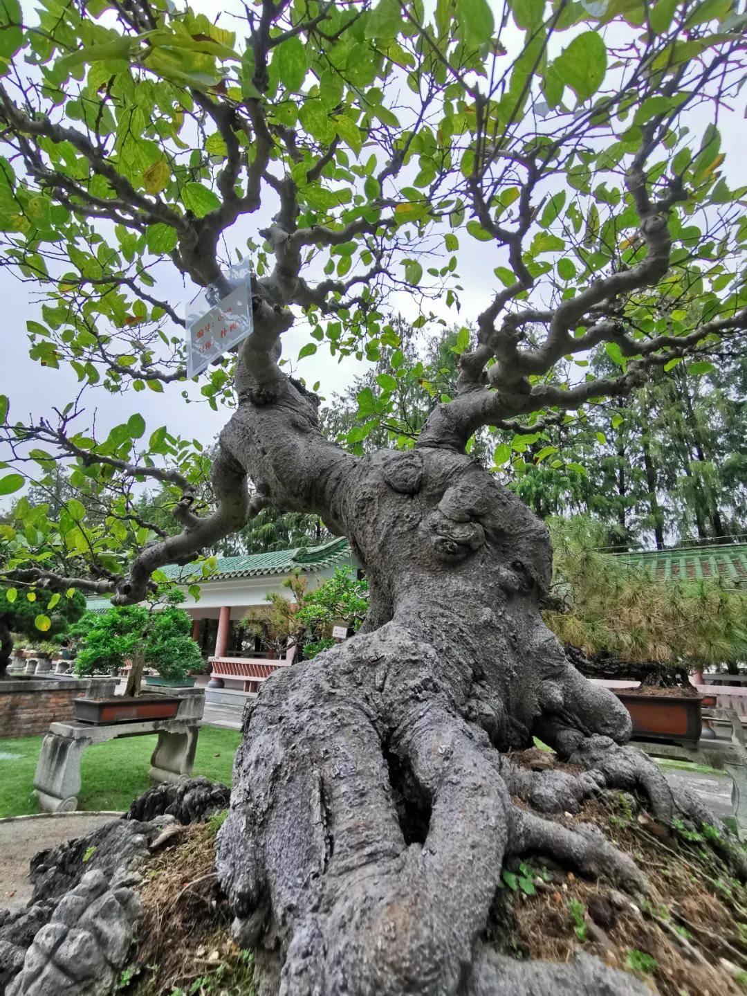 中山旅游景点_中山旅游景点哪里好玩