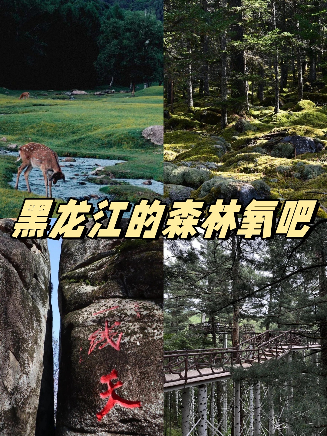 小兴安岭旅游_小兴安岭旅游攻略
