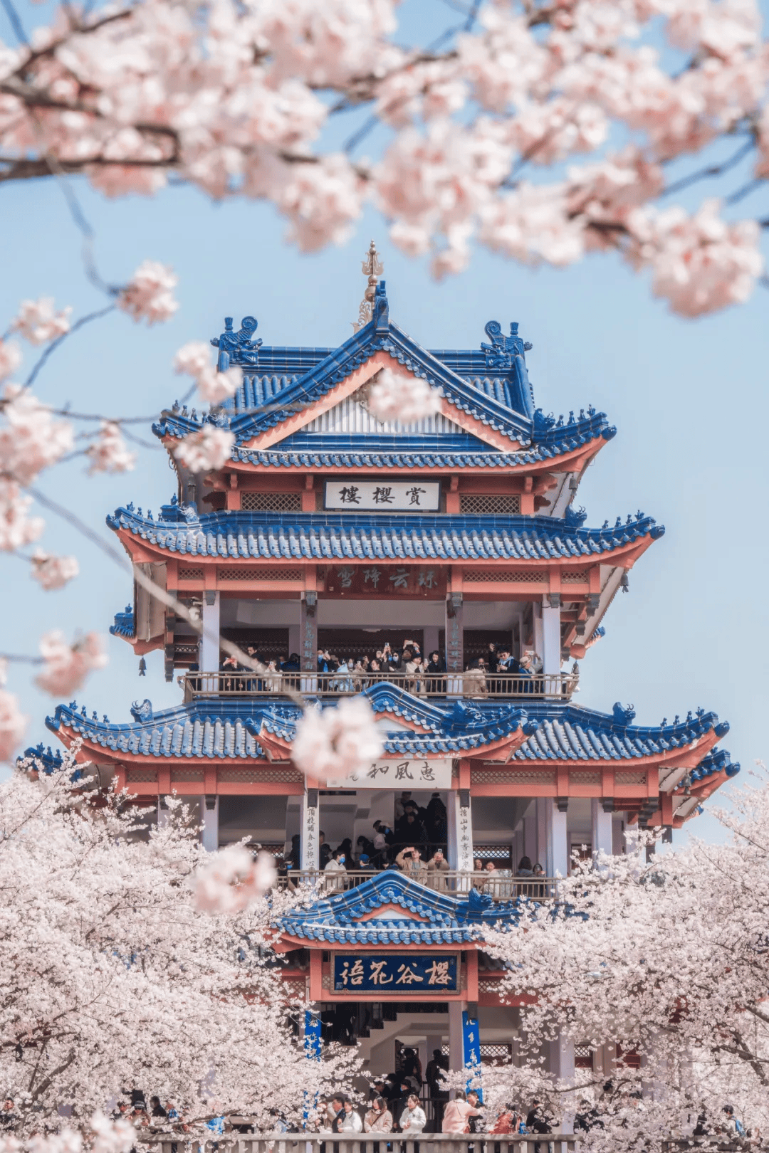 无锡旅游景区_无锡旅游景区有哪些