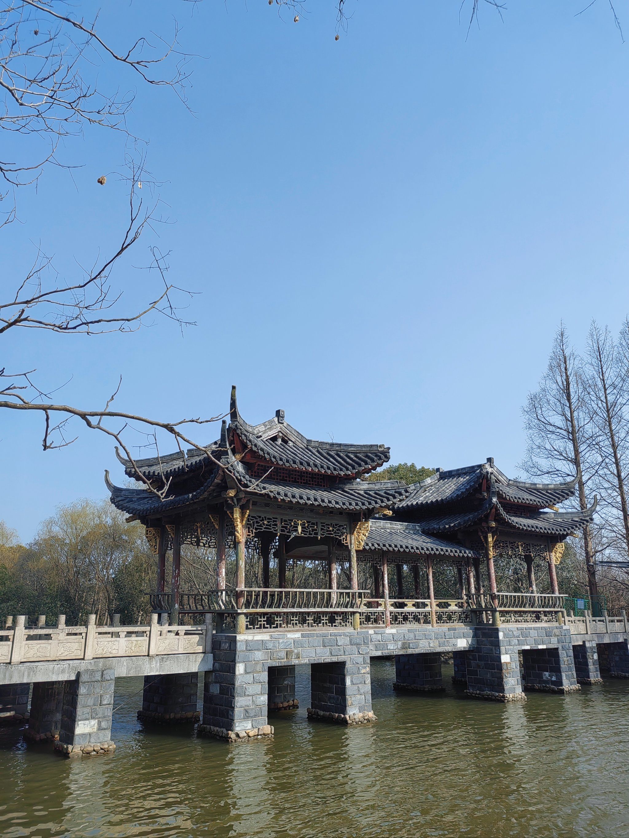 松江青青旅游世界_上海市松江区青青大酒店
