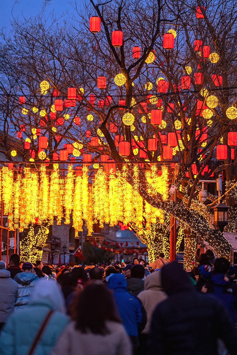 过年去哪旅游_过年去哪旅游好