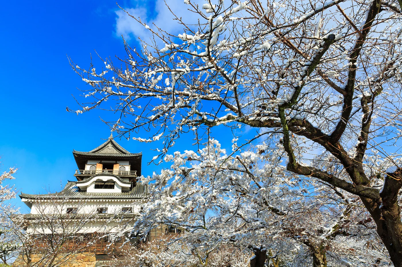 日本名古屋旅游攻略_日本名古屋旅游攻略自由行