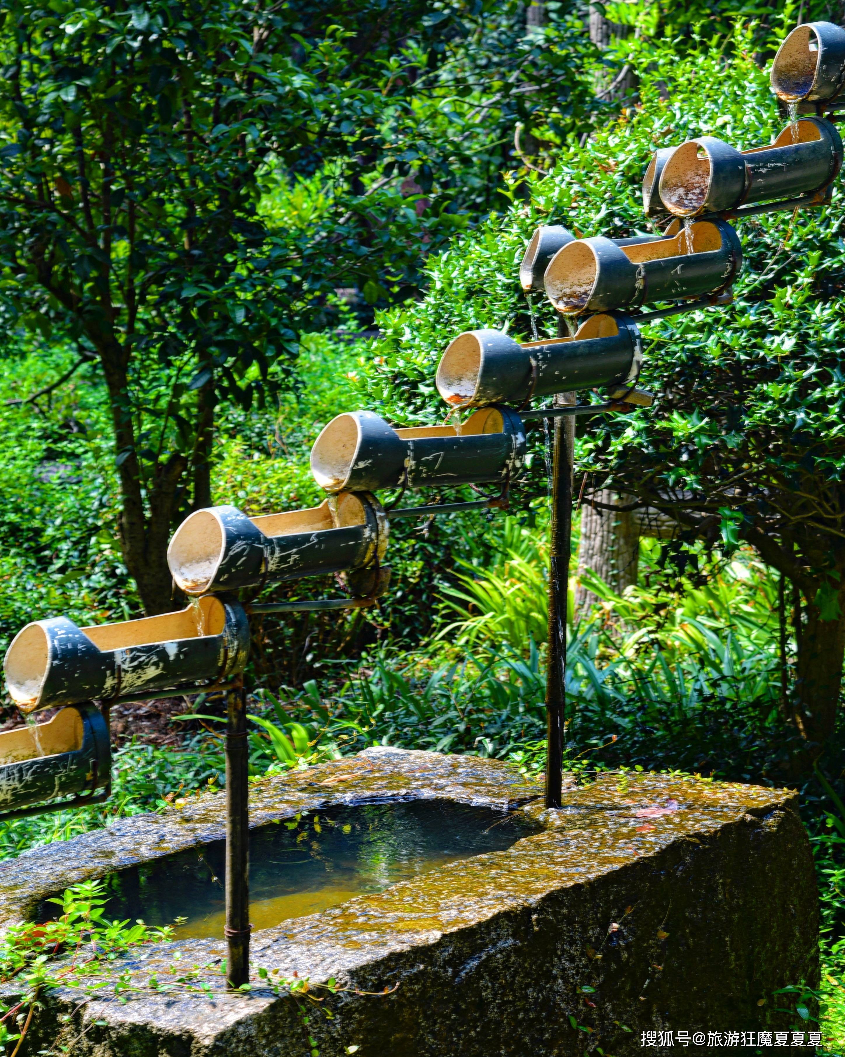 上海青青旅游世界_青青旅游世界松江