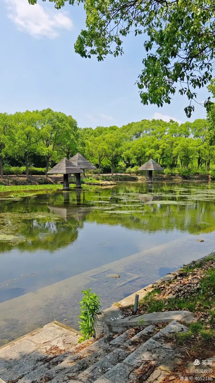 上海青青旅游世界_青青旅游世界松江