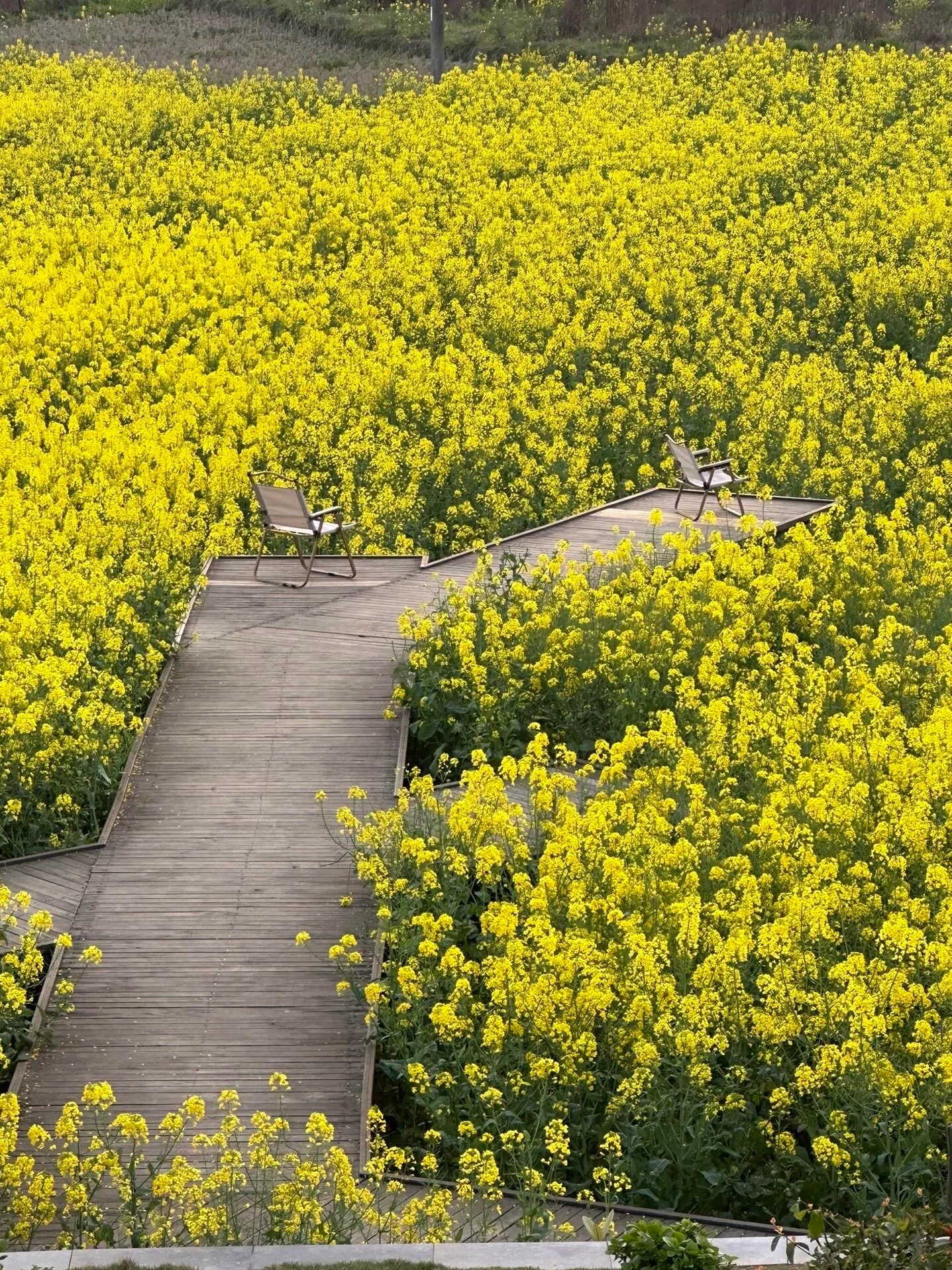 春季旅游地点_春季旅游景区哪里好玩
