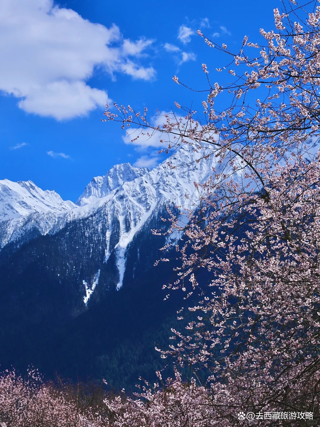 四月份去哪旅游_4月份去哪里旅游