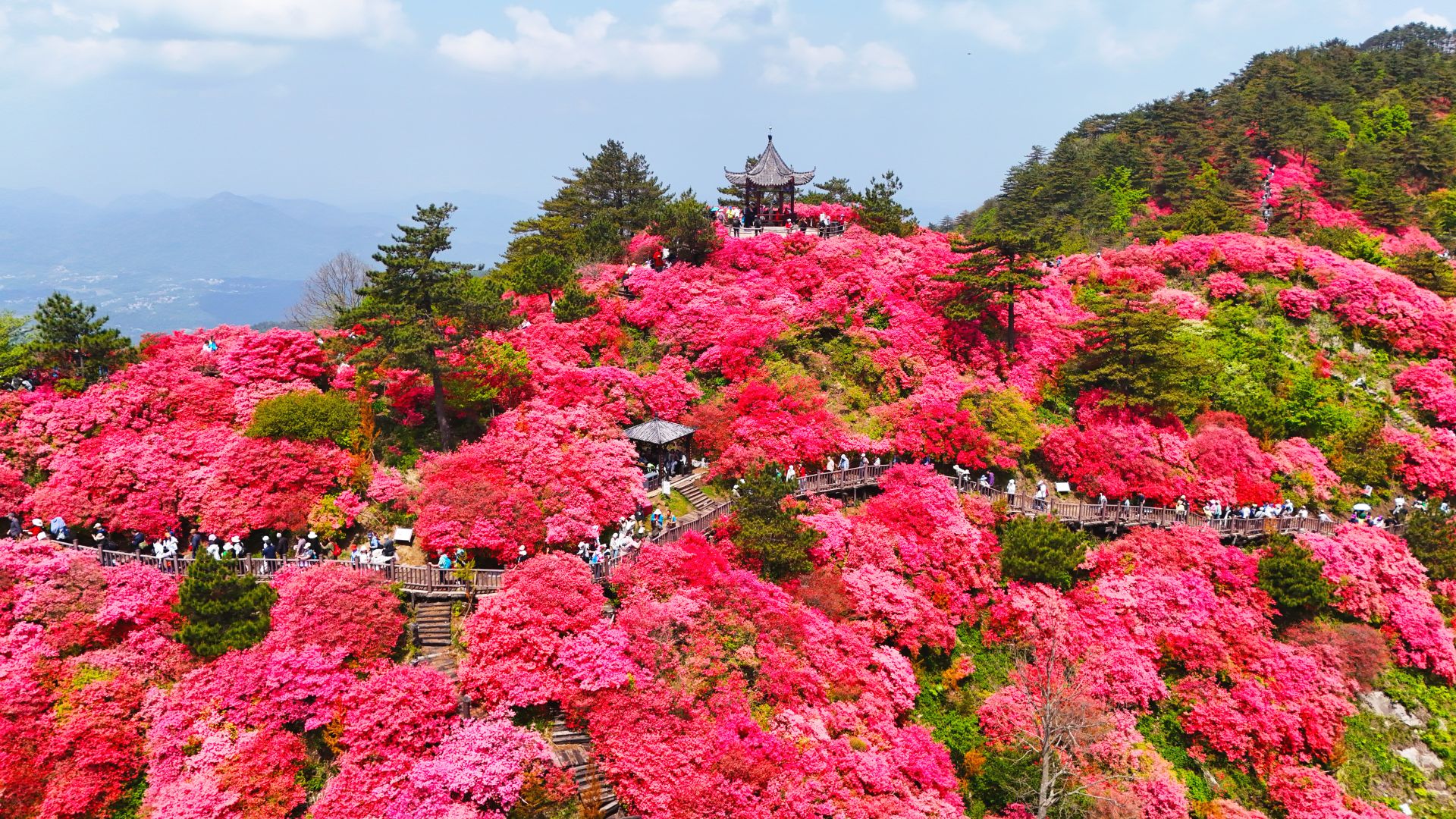 荆楚旅游网_荆楚旅游景点