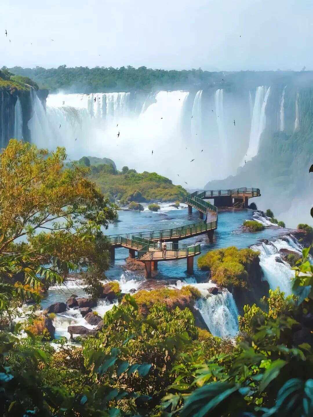 美洲旅游_美洲旅游区的特点