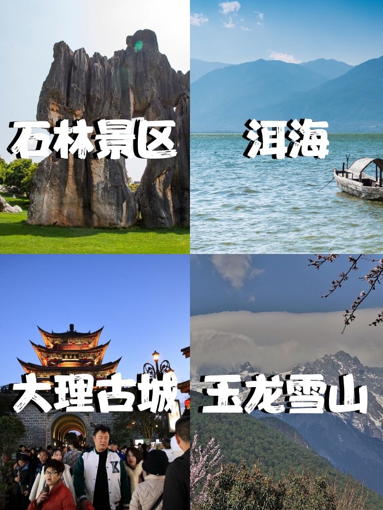 云南旅游论坛_云南旅游论坛登录入口2023年登录