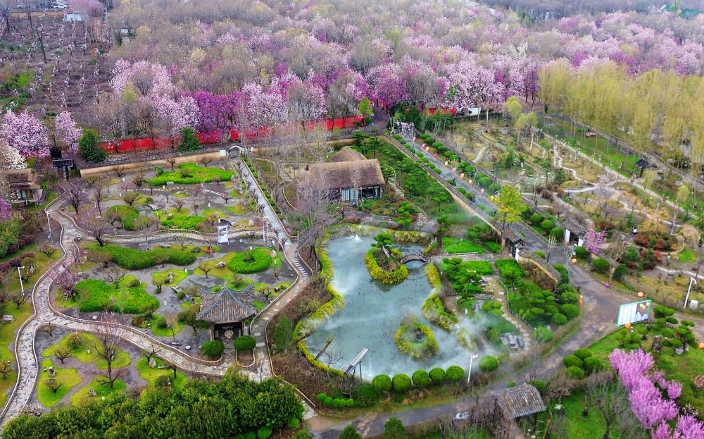 鄢陵旅游_鄢陵旅游景点大全排名