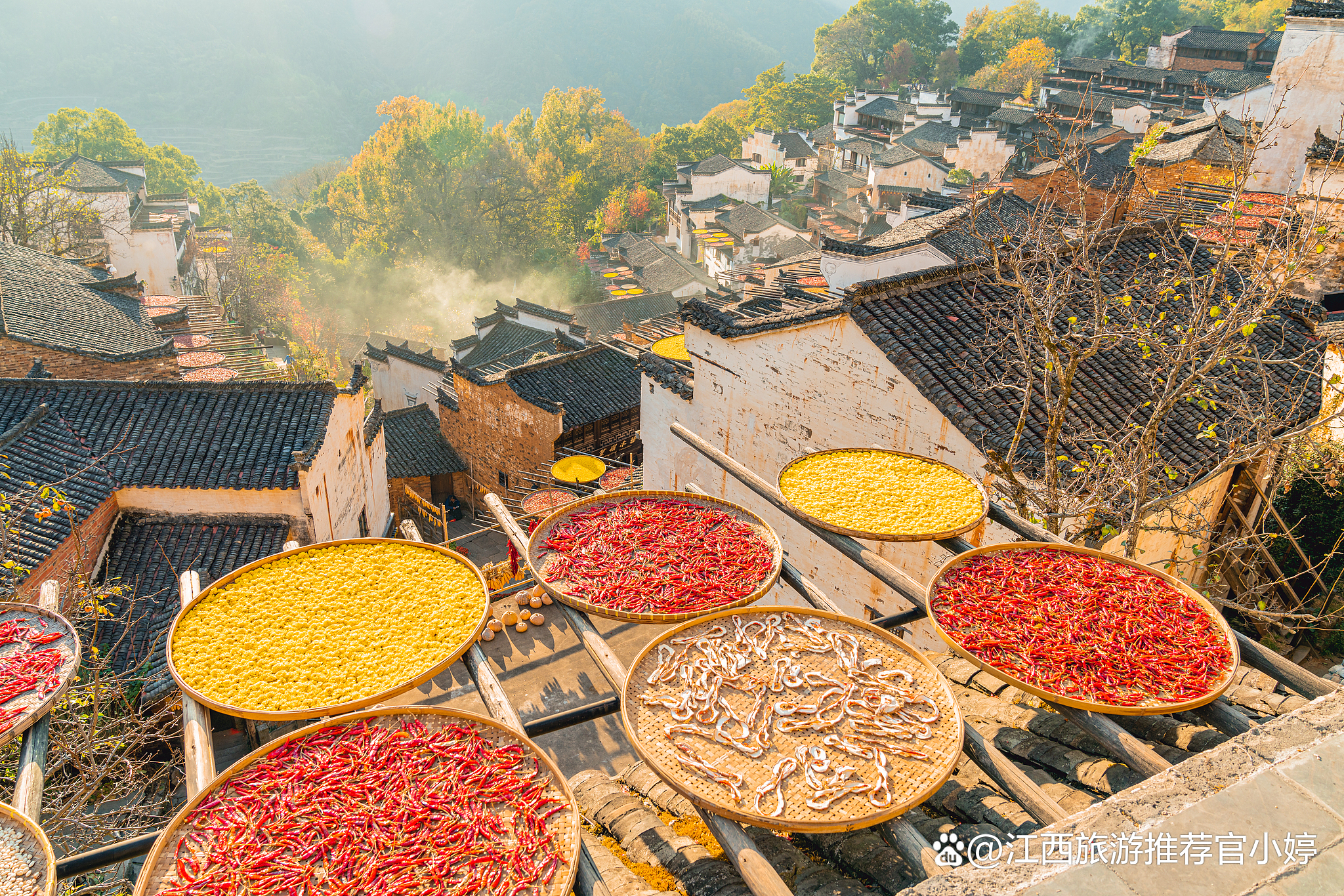 南昌旅游社_南昌旅行社跟团游