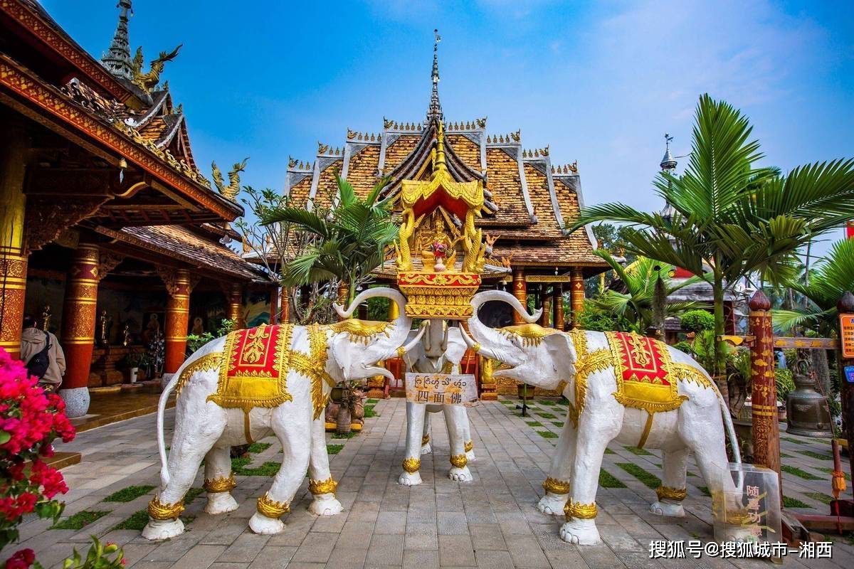 去西双版纳旅游_去西双版纳旅游危险吗