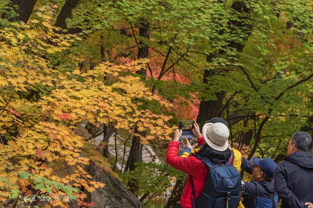 摄影旅游团_摄影旅游团取名大全
