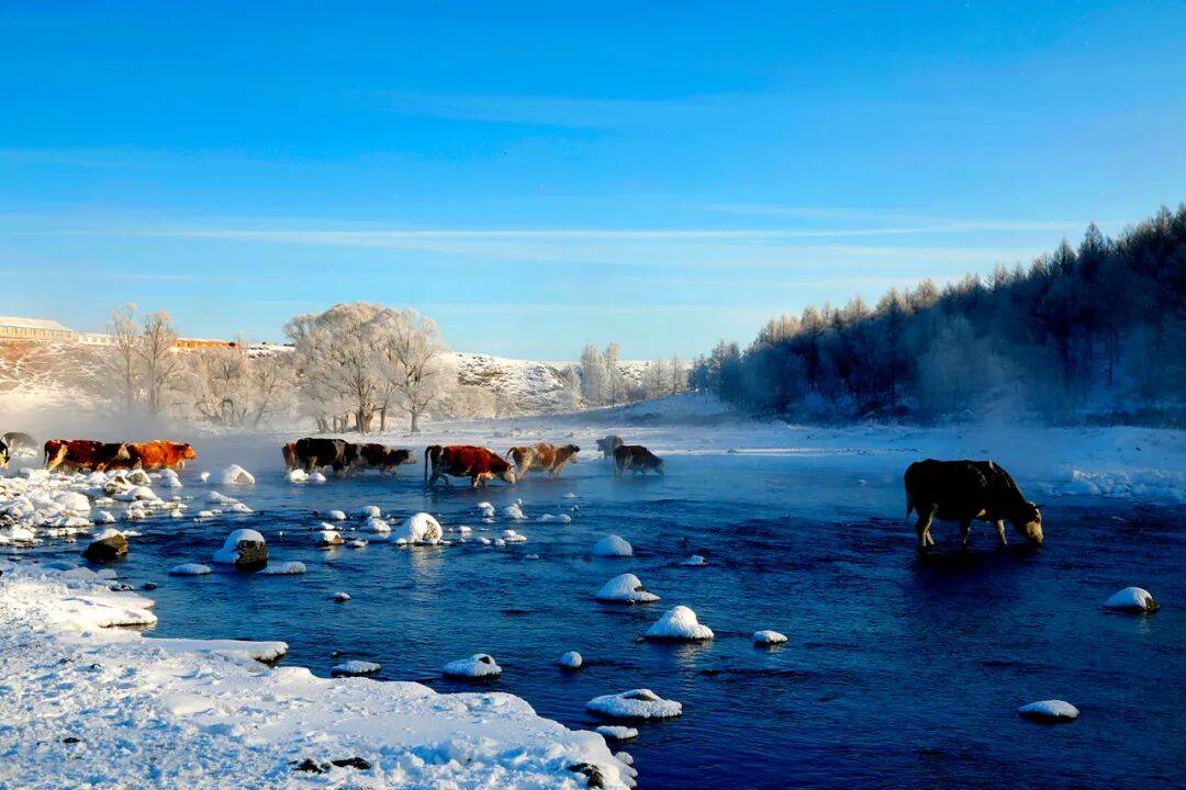 摄影旅游团_摄影旅游团取名大全