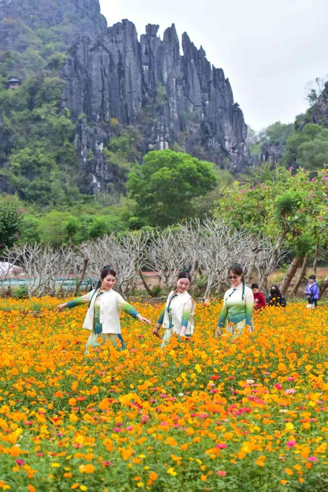 阳春旅游_阳春旅游景点 阳春旅游_阳春旅游景点